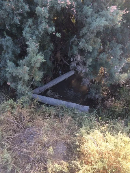 Son günlər Xızıda 5731 ədəd partlamamış hərbi sursat aşkarlanıb