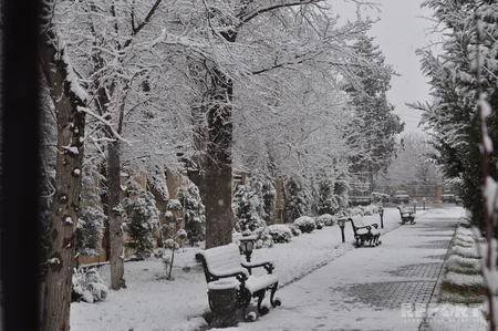 Qarlı-şaxtalı hava Salyan rayonunda bir sıra fəsadlar yaradıb - FOTO