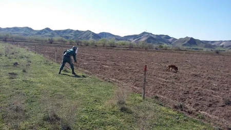 ANAMA: Cocuq Mərcanlıda 46 gündə 22 ədəd partlamamış hərbi sursat aşkarlanıb