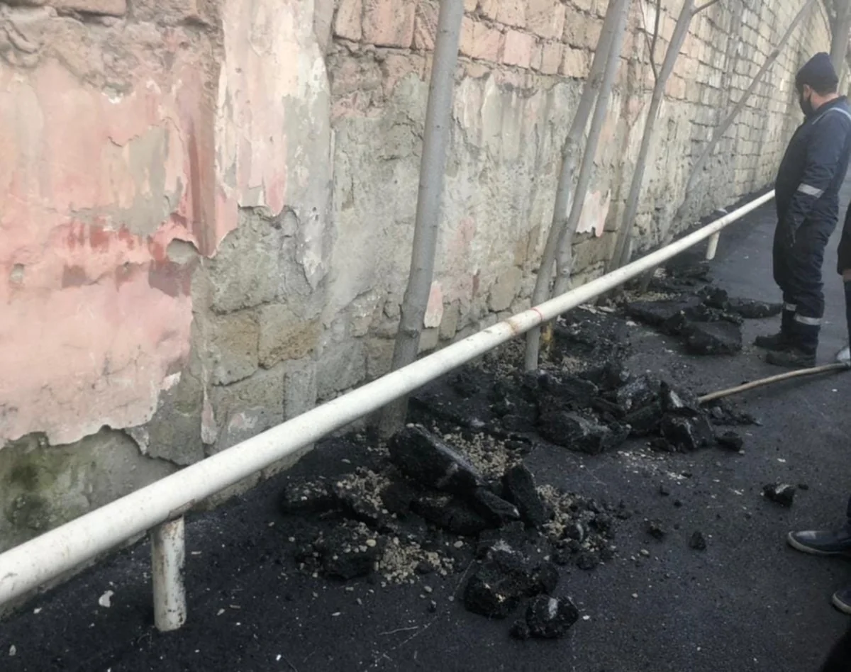 Bakıda ağacların dibi asfaltdan təmizlənib