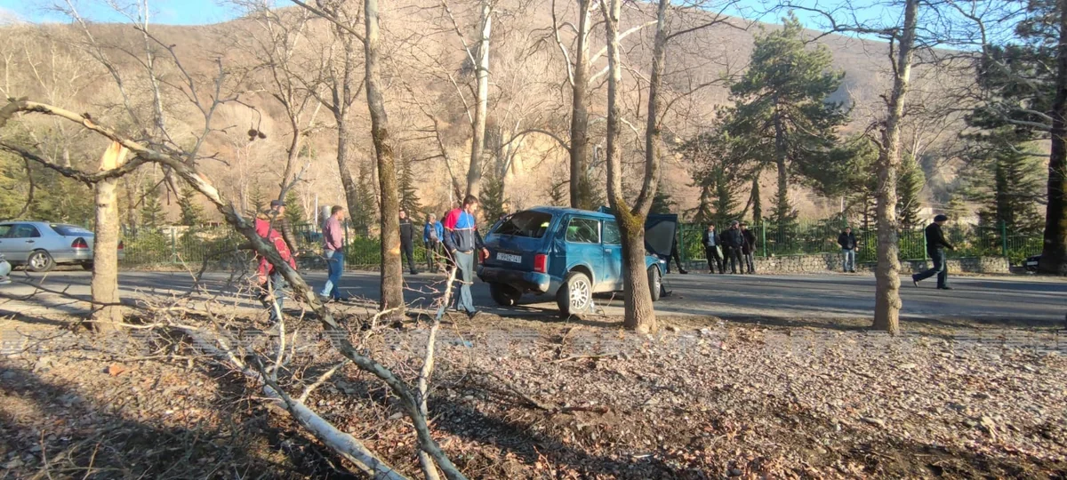 В Шеки автомобиль врезался в дерево, есть пострадавшие