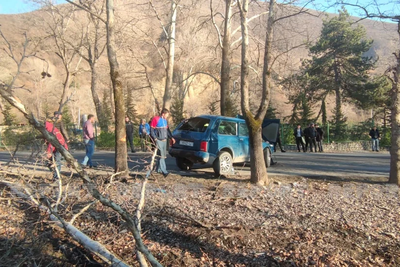 В Шеки автомобиль врезался в дерево, есть пострадавшие