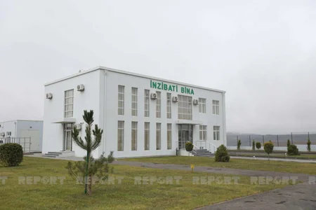 Azərbaycanda heyvanlar ilk dəfə hərraca çıxarılır