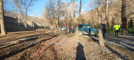 В Шеки автомобиль врезался в дерево, есть пострадавшие