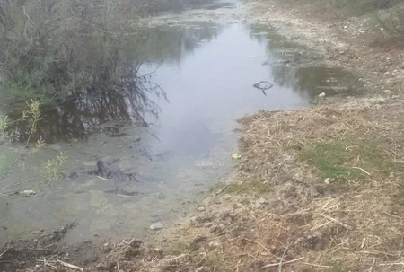 Samuxda suvarma dövrünün fəsadları - Yaşayış evləri daşqından necə qorunacaq?