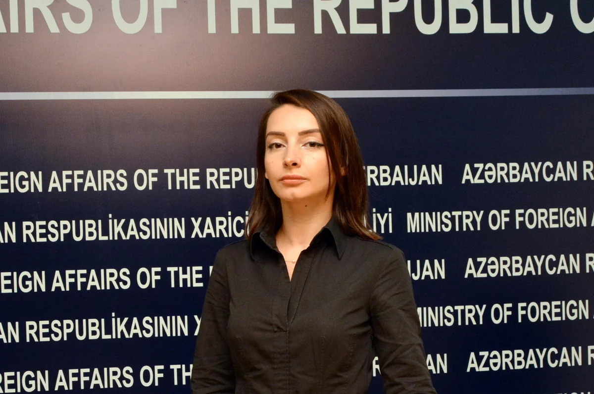 Лейла Абдуллаева: Риторика МИД Армении о подготовке народов к миру есть не что иное, как лицемерие