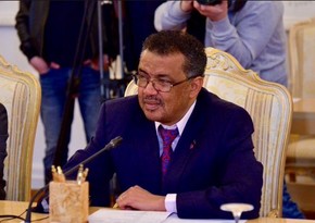 Глава ВОЗ порекомендовал запретить ароматизаторы в табачных изделиях