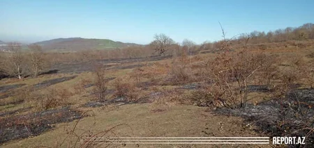 Qubada kol-kos və örüş sahəsi yanıb - FOTO