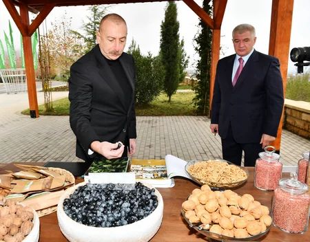 İlham Əliyev “Şəki-Oğuz” Aqroparkında yaradılan şəraitlə tanış olub - YENİLƏNİB