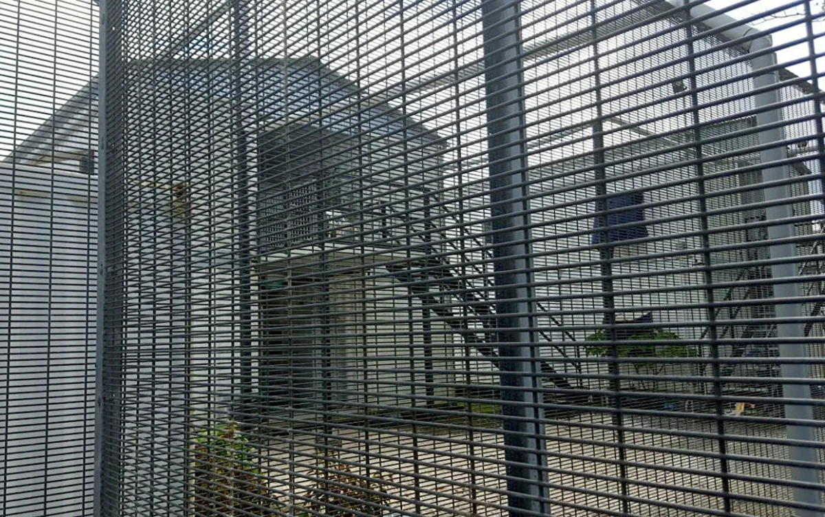 79 political prisoners released in Guinea