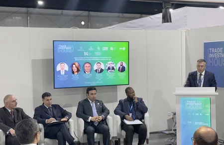 Financial monitoring agencies mull environmental crimes during COP29