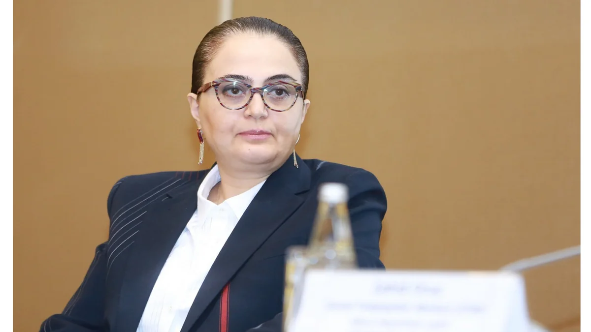 PA official: Armenia must be held accountable for serious crimes against Azerbaijan