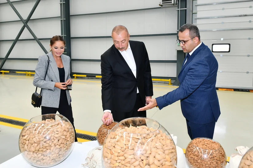 President: We have more than doubled area of hazelnut orchards