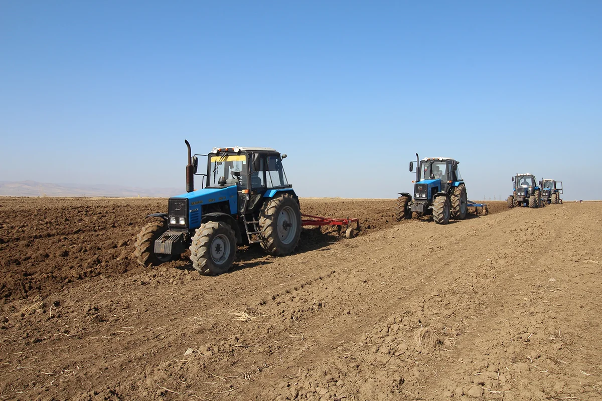 Salyanda yay şumu qaldırılır