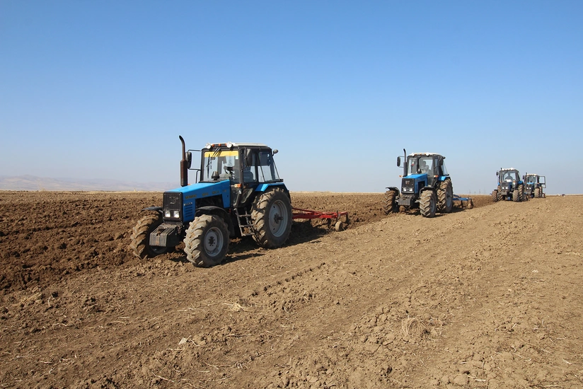 Salyanda yay şumu qaldırılır