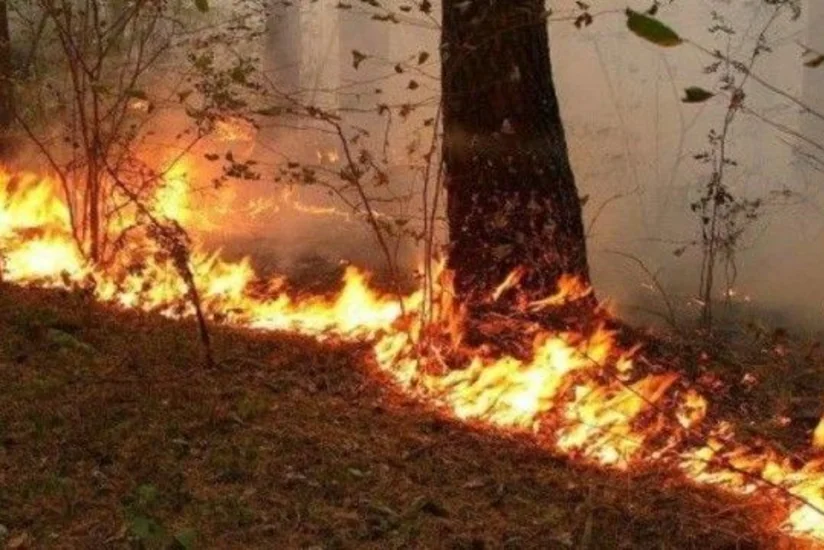 Пожар в горной местности в Гобустане потушен - ОБНОВЛЕНО