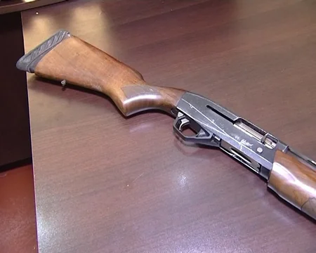 Bakıda istixanada 2115 ədəd çətənə kolu yetişdirən şəxs saxlanılıb