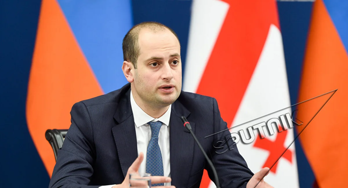 Глава МИД Грузии  отправился в Ереван