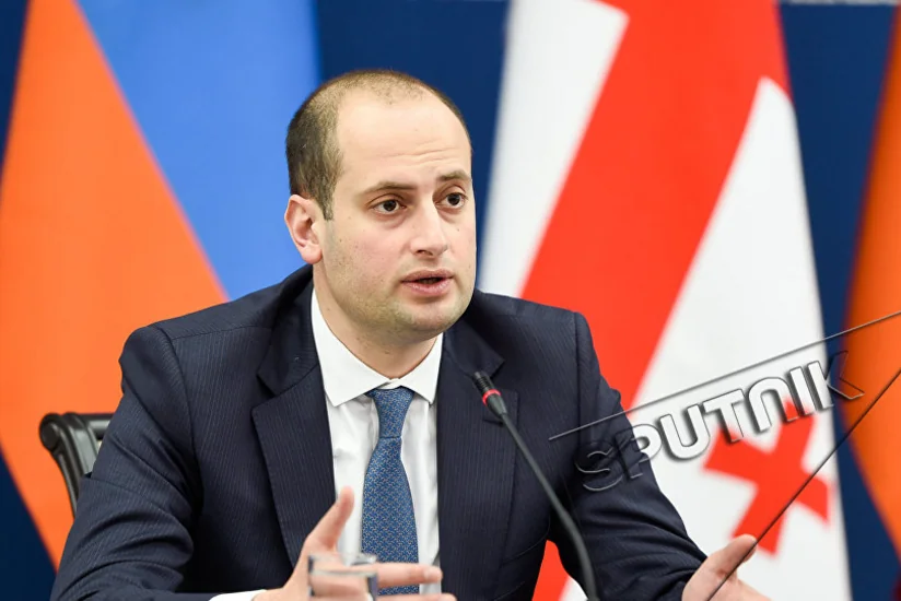 Глава МИД Грузии  отправился в Ереван