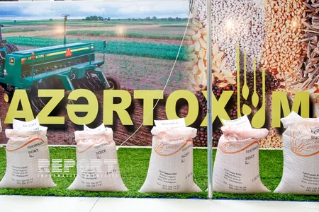 Bakıda XXI Azərbaycan Beynəlxalq Qida Sənayesi Sərgisi - FOTOREPORTAJ