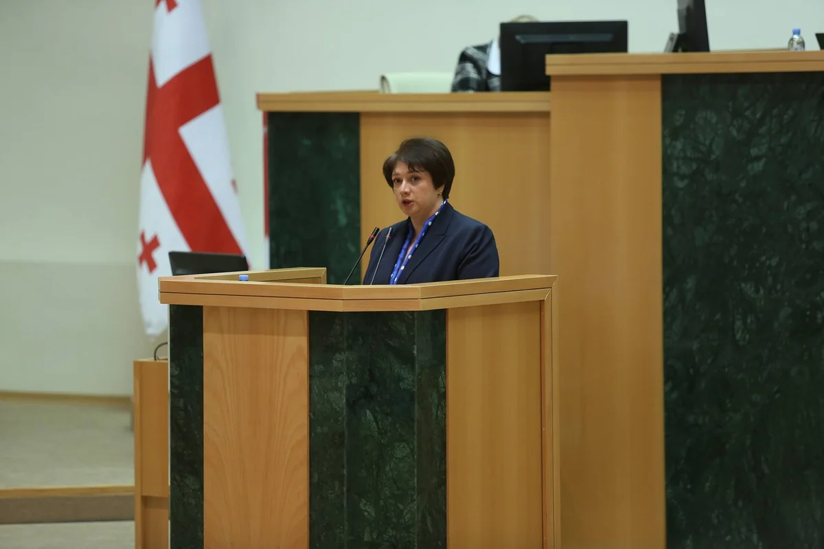 Gürcüstan parlamentində azərbaycanlıların yaşadığı rayonun problemləri qaldırılıb