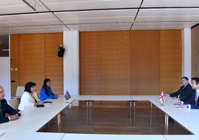 Azərbaycan və Gürcüstanın parlament sədrləri arasında görüş keçirilib