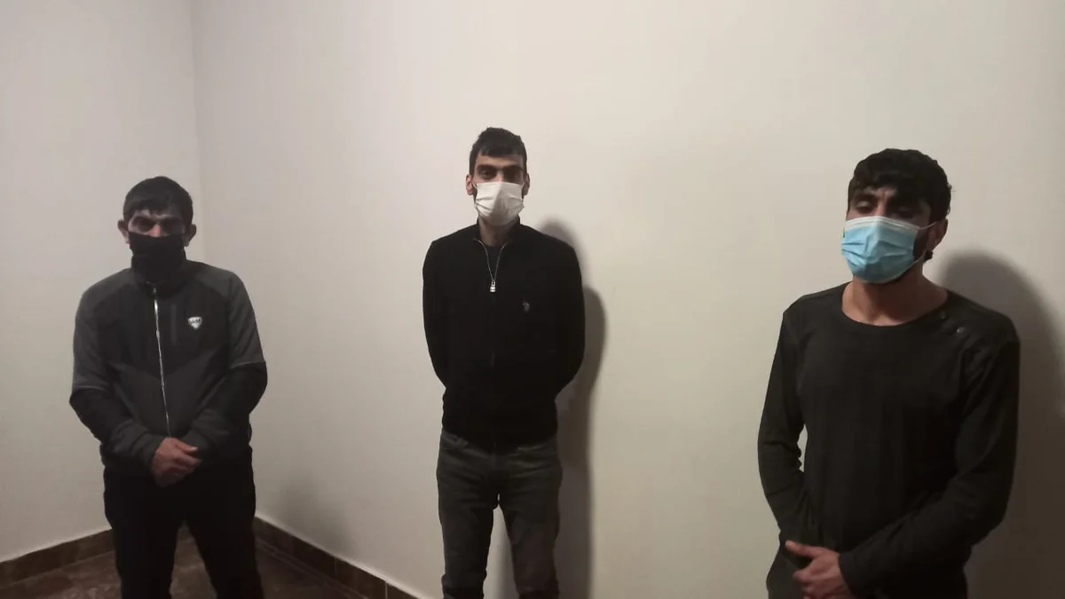 Yevlaxda narkotik alqı-satqısı ilə məşğul olan dəstə saxlanılıb