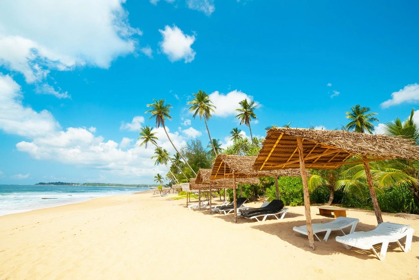 Sri Lanka plans to open borders for visitors next year