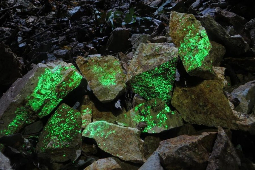 Finlandiya uran hasilatına başlayıb