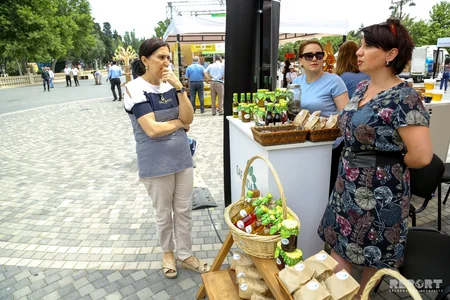 Bakıda orqanik məhsullar festivalı keçirilir - FOTOREPORTAJ