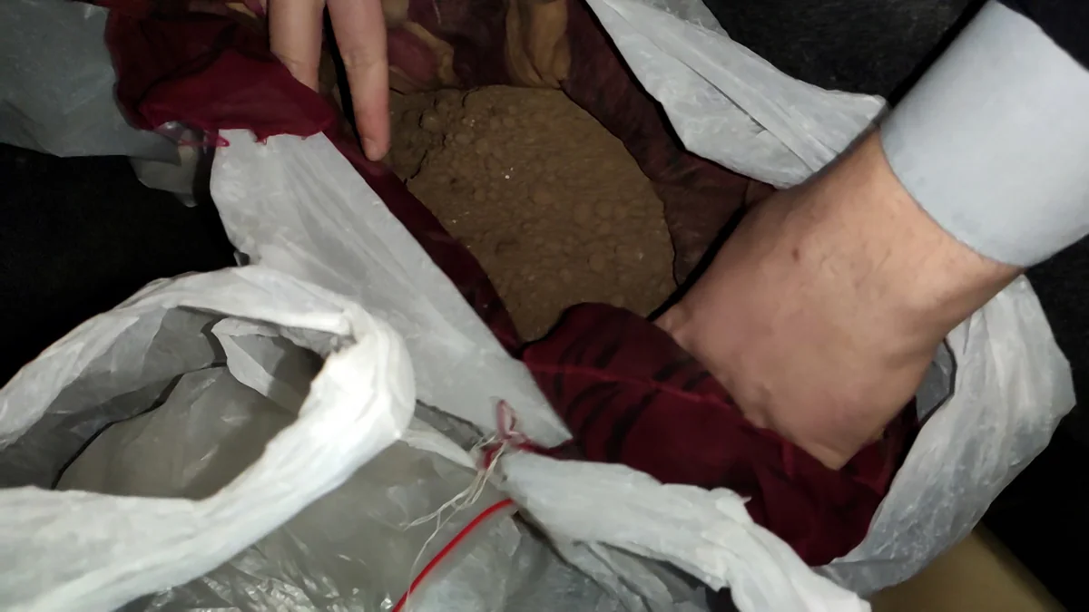 Bakıda saxlanılan şəxslərdən silah və narkotik götürüldü