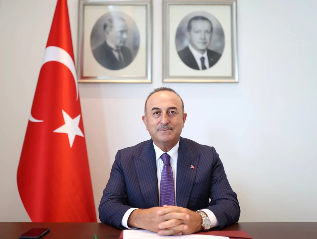 Mevlut Cavusoglu, Liz Truss hold meeting