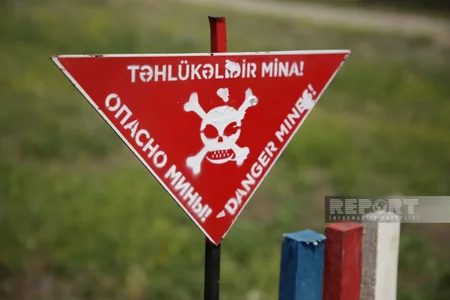 ATƏT PA-nın nümayəndələrinə Zəngilanda aşkarlanmış minalarla bağlı məlumat verilib
