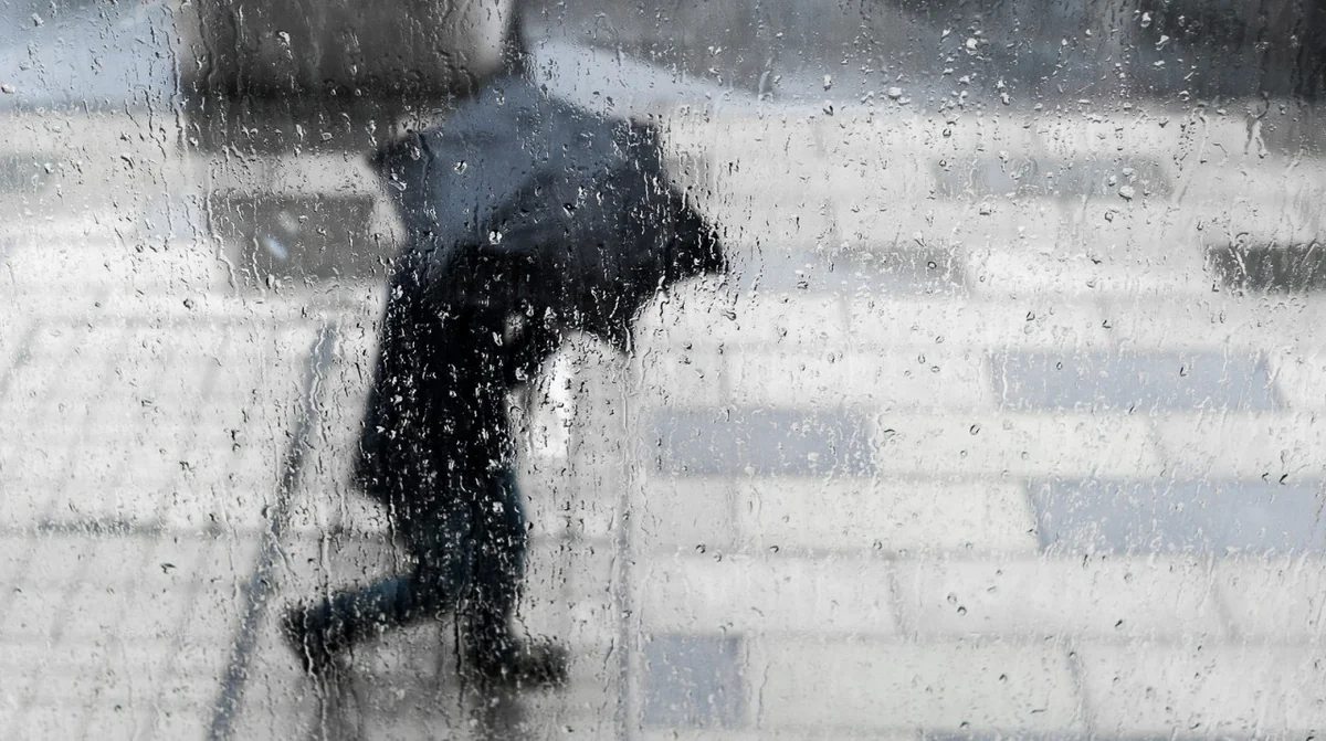 Rain predicted tomorrow