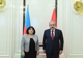 Sahibə Qafarova türkiyəli həmkarına başsağlığı verib 
