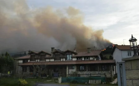 ​İspaniyanın şimalında qoruq yanır - FOTO
