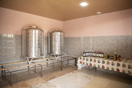 Məcnun Məmmədov Şamaxıdakı müəssisələrin fəaliyyəti ilə tanış olub