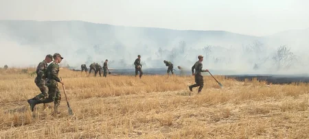 FHN yanğınlarla bağlı məlumat yayıb