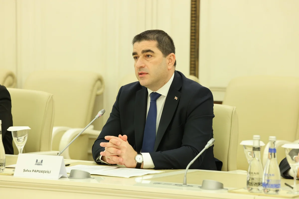 Gürcüstan parlamentinin sədri: 2024-cü ilin fevralında Azərbaycanda keçiriləcək prezident seçkilərini tarixi seçkilər olacaq