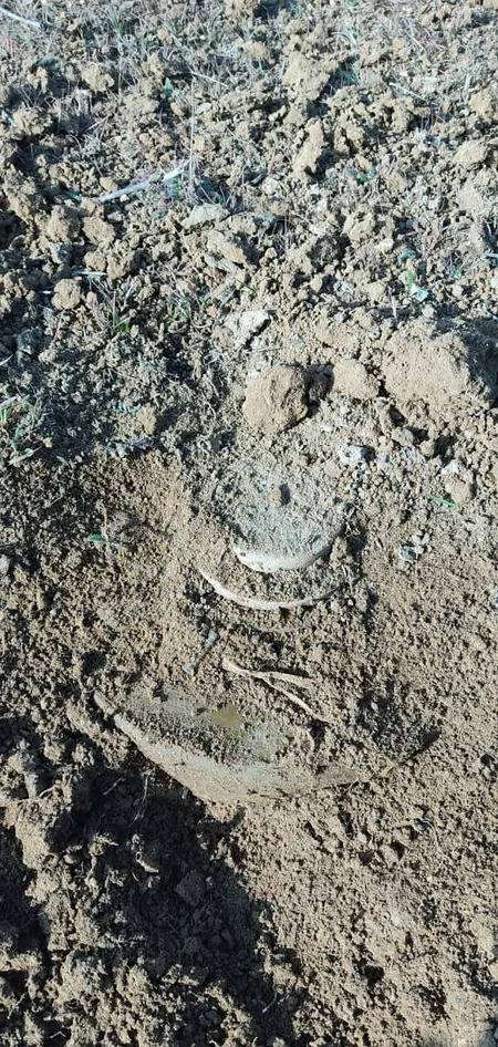 Cəbhə boyu ərazilərdə 216 partlamamış hərbi sursat aşkarlanıb