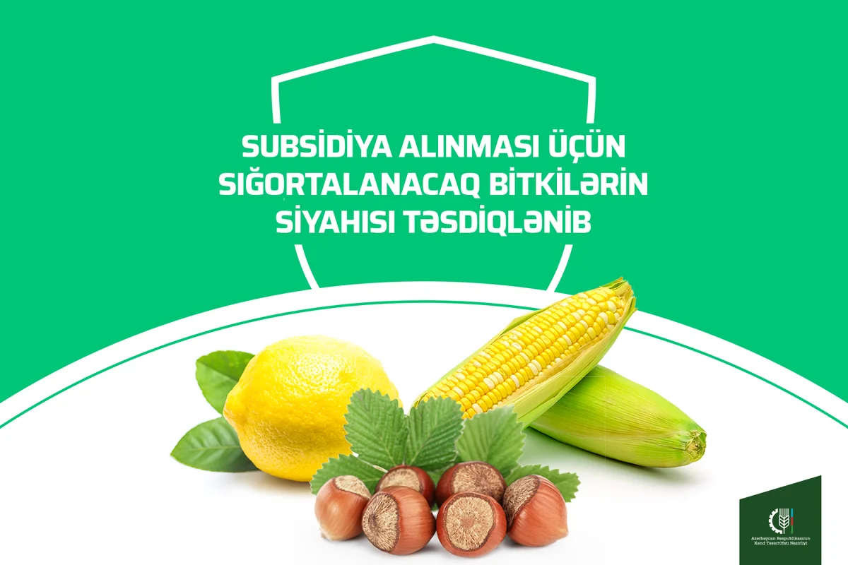 Subsidiya alınması üçün sığortalanacaq bitkilərin siyahısı təsdiqlənib