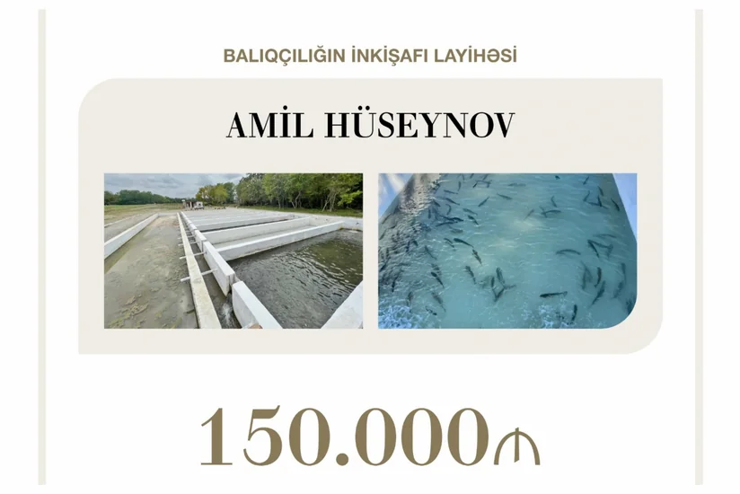 Balıqçılığın inkişafı layihəsinə 150 min manat güzəştli kredit verilib