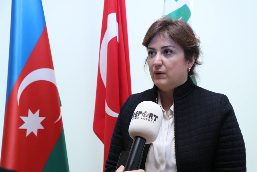 TARSİM выдвинул предложение об обязательном аграрном страховании