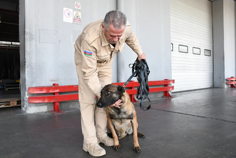 US gives 5 more mine detection dogs to Azerbaijan