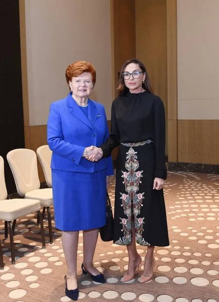 Первый вице-президент Мехрибан Алиева провела ряд встреч