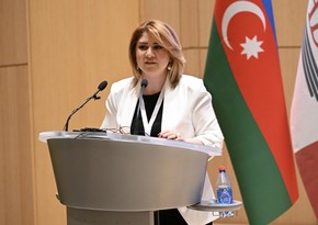 Bu il xaricdə təhsillə bağlı Azərbaycandan dünyanın 19 ölkəsinə 1147 namizəd müraciət edib