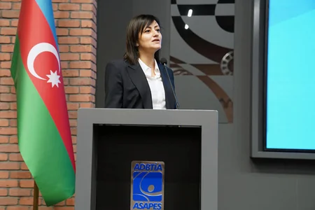 Fərid Qayıbov federasiya nümayəndələri ilə görüşüb