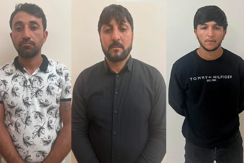 Naxçıvanda heyvanlarla rəhmsiz rəftar edən şəxslər müəyyən edilib