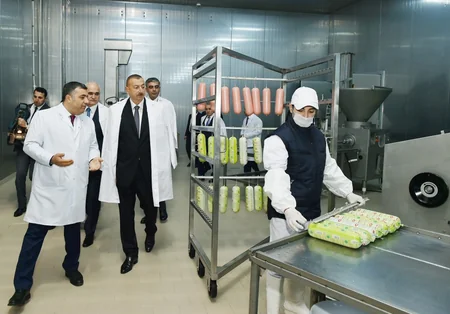 Prezident Abşeron rayonunda “Zəhmət-Ruzi” MMC-nin fəaliyyəti ilə tanış olub