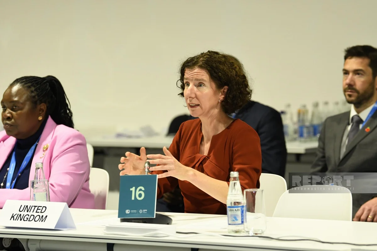 Annalese Dodds: UK supports Azerbaijan's climate initiatives